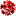 red-media.by