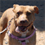 mimisforeverhome.org