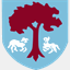 lygks.com