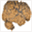 mindreading.ca