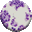 immunopharmacology.elsevier.com