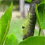 babylon-et-wasabi.over-blog.com