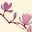 hwangxuan.wordpress.com