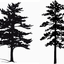 ihugtrees.com