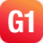 g1soft.co.kr