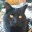 cookiesbooks.wordpress.com