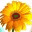 andreeaneacsu.wordpress.com