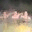hottubpartygames.wordpress.com