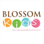 blossomkidsshop.com