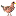 yardchickens.com