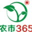 xns365.cn
