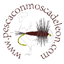 pescaconmoscadeleon.com