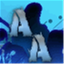 auditoryasylum.com