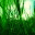 ecocollect.wordpress.com