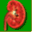 kidneystonewebsite.com
