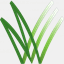 mngreencommunities.org