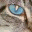 incatdreams.wordpress.com