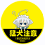 ddiao.org