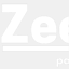 zeerebel.com
