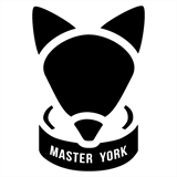 masteryork.pl