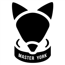 masteryork.pl