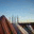 walkingtalkingblog.wordpress.com