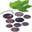 grapevinedesignnw.com