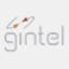 gintel.com