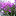 crieseujardim.blogspot.com