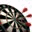 mydart.de