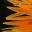 hiddenglance.wordpress.com