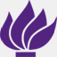 nyucd17.com