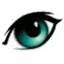 webstervision.com