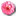 florist.kg