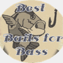 bestbaitbass.com