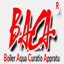 bacavn.com