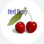 redberryquizbooks.com