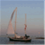 oceanhermit.com