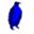 accelcom.net
