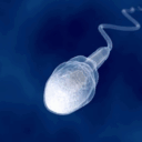 sperm-man.tumblr.com