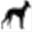 whippet-bh.com