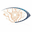 dynamicdetection.com