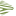czechshape.com