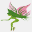 nectartfleurs.fr