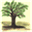 janitz.org