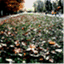 bopunch.wordpress.com