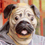 pugmasks.com