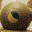 myemptynest.wordpress.com