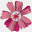creativeforms.wordpress.com