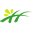 harmonata.com.br